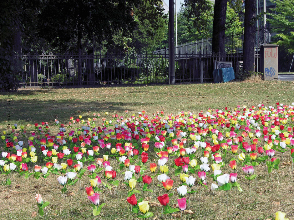 artificial flower field, Bonn, Germany